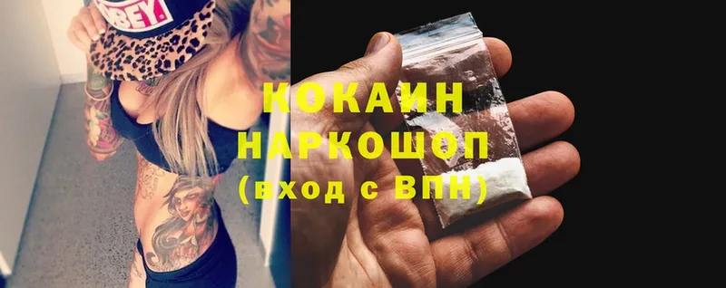 где можно купить   Бологое  COCAIN FishScale 